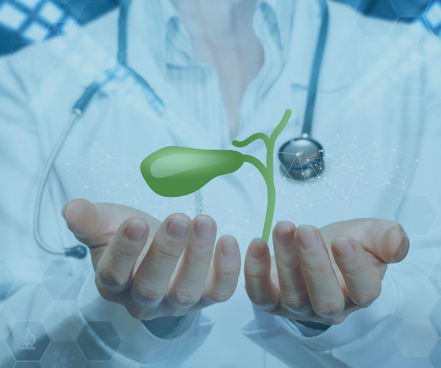 https://www.tolgahuner.com/wp-content/uploads/2024/12/Gallbladder.jpg